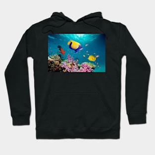 Tropical reef fish (C007/1056) Hoodie